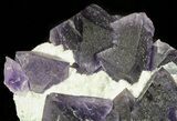 Dark Purple Cubic Fluorite Cluster - China #45336-1